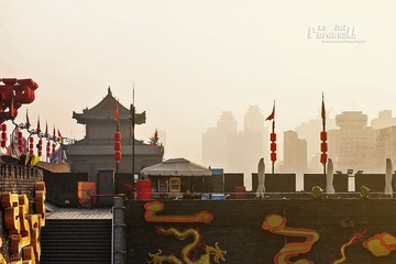 IMG_9778.JPG
