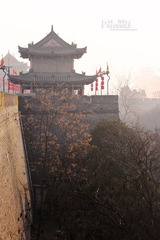 IMG_9784.JPG