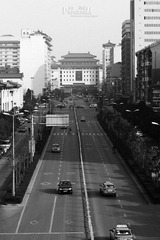IMG_9795.JPG