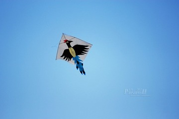 IMG_9818.JPG