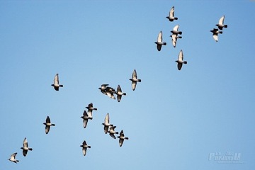 IMG_9830.JPG