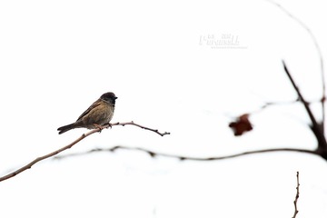 IMG_0173.JPG
