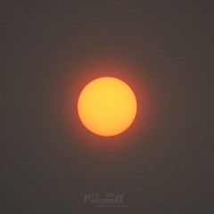 IMG_0240.JPG