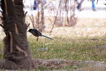 IMG_0647.JPG