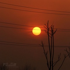 IMG_0880.JPG