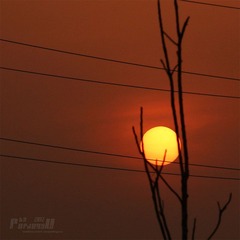 IMG_0884.JPG