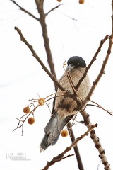 IMG_0848.JPG