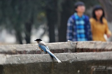 IMG_1439.JPG