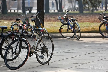 IMG_1514.JPG