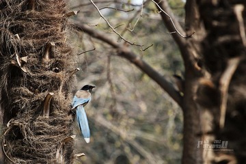IMG_1475.JPG
