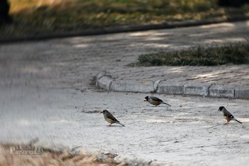 IMG_1496.JPG