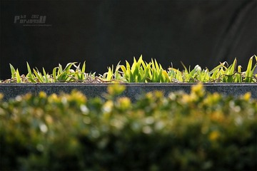 IMG_1534.JPG