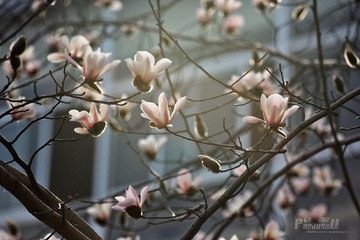 IMG_1557.JPG