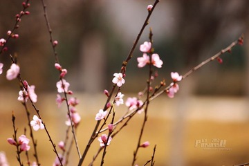IMG_1980.JPG