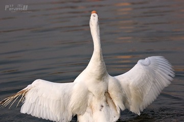 IMG_2574.JPG