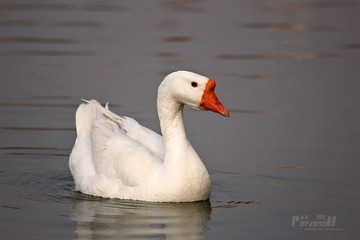 IMG_2579.JPG