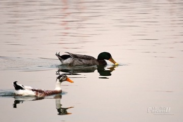 IMG_2454.JPG