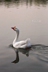 IMG_2601.JPG