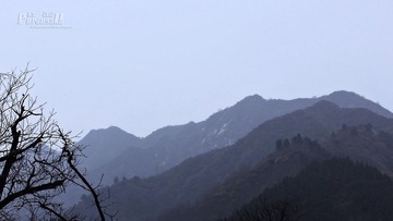 IMG_3624.JPG