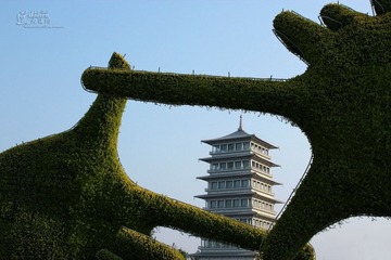 IMG_5563.JPG