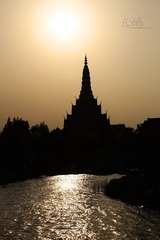 IMG_5567.JPG