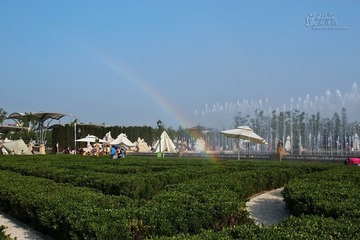 IMG_5515.JPG