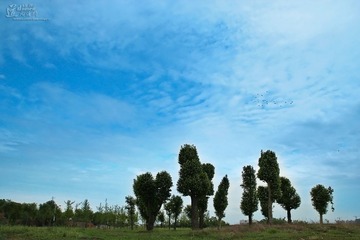 IMG_6467.JPG