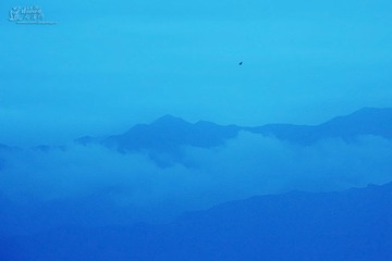 IMG_6474.JPG
