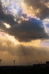 IMG_8162.JPG