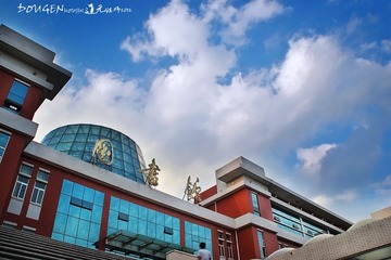 IMG_8211.JPG
