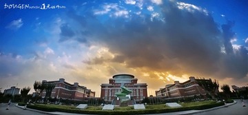 IMG_8212.jpg