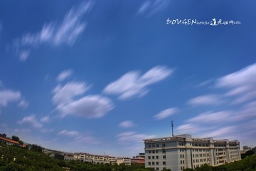 IMG_8229.JPG