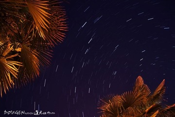 IMG_8258.JPG