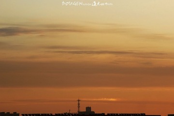 IMG_9398.JPG
