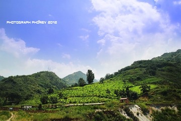 IMG_1446.JPG