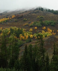 DSC_0101a.jpg