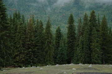 DSC_0151a.jpg