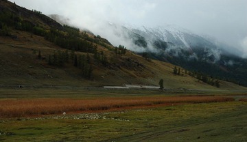 DSC_0190a.jpg