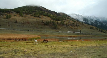 DSC_0206a.jpg