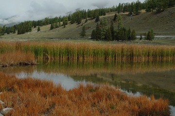 DSC_0216a.jpg