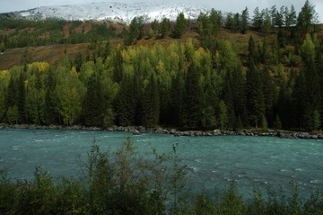 DSC_0392a.jpg