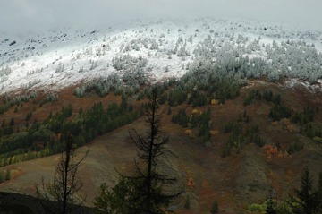 DSC_0413a.jpg