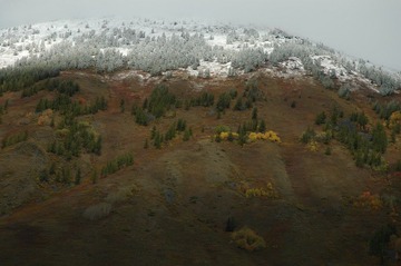 DSC_0415a.jpg
