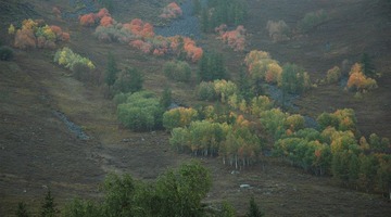 DSC_0511a.jpg