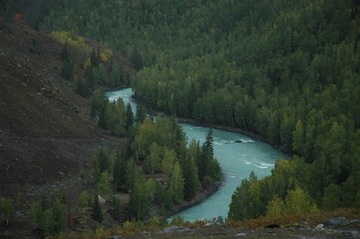 DSC_0545a.jpg