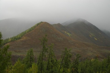 DSC_0556a.jpg