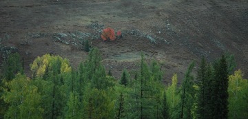 DSC_0563a.jpg