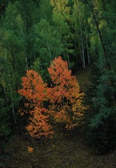 DSC_0583a.jpg