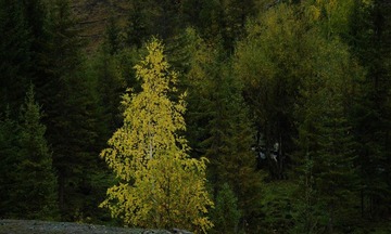 DSC_0589a.jpg