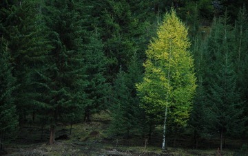 DSC_0622a.jpg